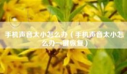 手机声音太小怎么办（手机声音太小怎么办一键恢复）