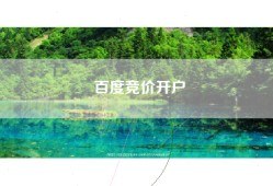 百度竞价开户