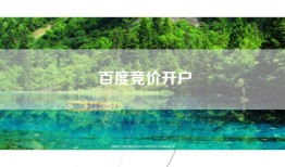 百度竞价开户