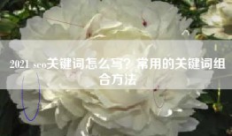 2021 seo关键词怎么写？常用的关键词组合方法