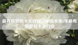 最有前景的十大行业，中国未来5年最有前景的十大行业