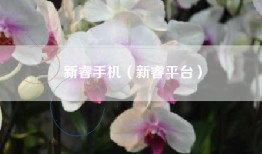 新睿手机（新睿平台）