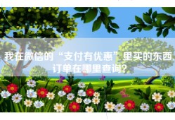 我在微信的“支付有优惠”里买的东西,订单在哪里查询？