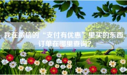 我在微信的“支付有优惠”里买的东西,订单在哪里查询？