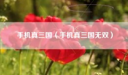 手机真三国（手机真三国无双）