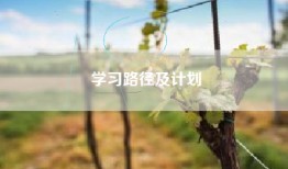 学习路径及计划