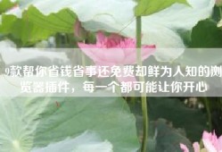 9款帮你省钱省事还免费却鲜为人知的浏览器插件，每一个都可能让你开心