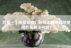 百度一下你就知道！如何正确高效地使用百度解决问题？