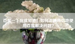百度一下你就知道！如何正确高效地使用百度解决问题？
