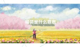 精装是什么意思