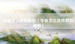 手机怎么连投影仪（手机怎么连投影仪播放）