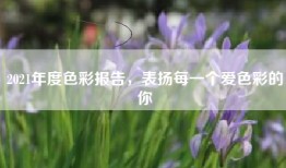 2021年度色彩报告，表扬每一个爱色彩的你