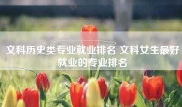 文科历史类专业就业排名 文科女生最好就业的专业排名