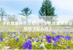 手机屏幕突然没反应（手机屏幕突然没反应了怎么办）