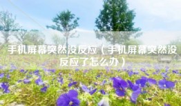 手机屏幕突然没反应（手机屏幕突然没反应了怎么办）