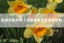 安卓手机升级（安卓手机升级系统好吗）