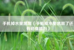 手机掉水里黑屏（手机掉水里黑屏了还有必要修吗）