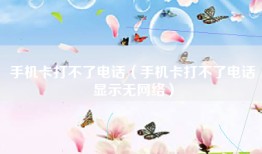 手机卡打不了电话（手机卡打不了电话显示无网络）