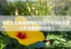 手机怎么恢复删除的短信（华为手机怎么恢复删除的短信）