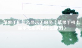 苹果手机怎么显示无服务（苹果手机卡显示无服务是什么原因）