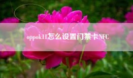 oppok11怎么设置门禁卡NFC