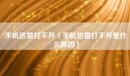手机迅雷打不开（手机迅雷打不开是什么原因）