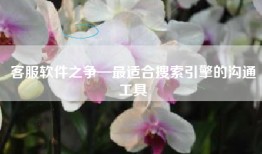 客服软件之争—最适合搜索引擎的沟通工具