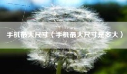 手机最大尺寸（手机最大尺寸是多大）