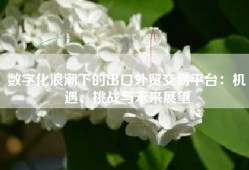 数字化浪潮下的出口外贸交易平台：机遇、挑战与未来展望