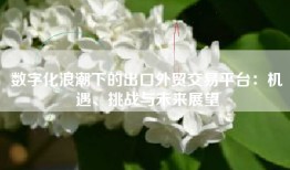 数字化浪潮下的出口外贸交易平台：机遇、挑战与未来展望
