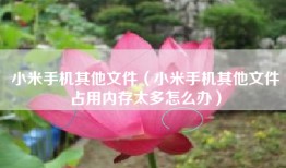 小米手机其他文件（小米手机其他文件占用内存太多怎么办）