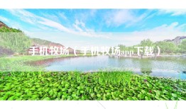 手机牧场（手机牧场app下载）