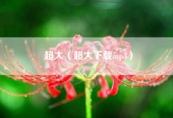 超大（超大下载mp3）
