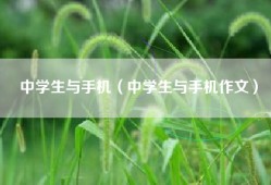中学生与手机（中学生与手机作文）