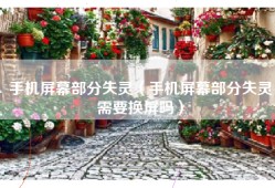 手机屏幕部分失灵（手机屏幕部分失灵需要换屏吗）