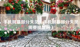 手机屏幕部分失灵（手机屏幕部分失灵需要换屏吗）