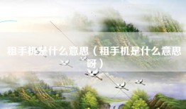 租手机是什么意思（租手机是什么意思呀）