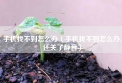 手机找不到怎么办（手机找不到怎么办,还关了静音）
