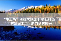 “小工坊”承载大梦想 ！铜仁打造“强村富民工坊”助力乡村振兴