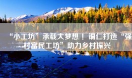 “小工坊”承载大梦想 ！铜仁打造“强村富民工坊”助力乡村振兴