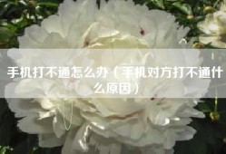 手机打不通怎么办（手机对方打不通什么原因）