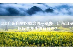 2022广东自贸区概念股一览表，广东自贸区股票龙头股有哪些？