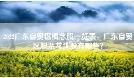 2022广东自贸区概念股一览表，广东自贸区股票龙头股有哪些？