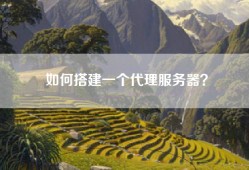 如何搭建一个代理服务器？
