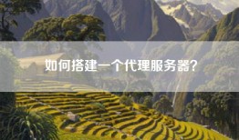 如何搭建一个代理服务器？