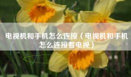 电视机和手机怎么连接（电视机和手机怎么连接看电视）