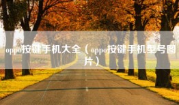oppo按键手机大全（oppo按键手机型号图片）