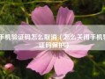 手机验证码怎么取消（怎么关闭手机验证码保护）