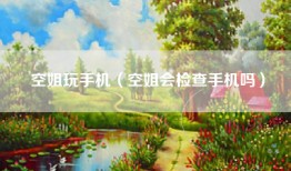 空姐玩手机（空姐会检查手机吗）