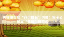 央视曝百度“竞价排名”内幕：骗子公司靠“竞价”排首位